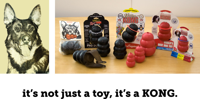 it's not just a toy, it's a KONG
